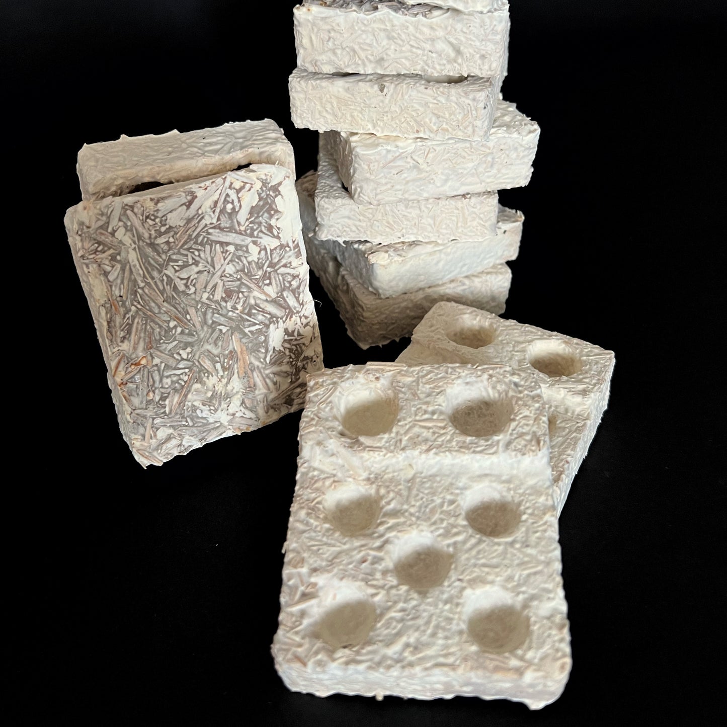 Mycelium Tray Prototypes