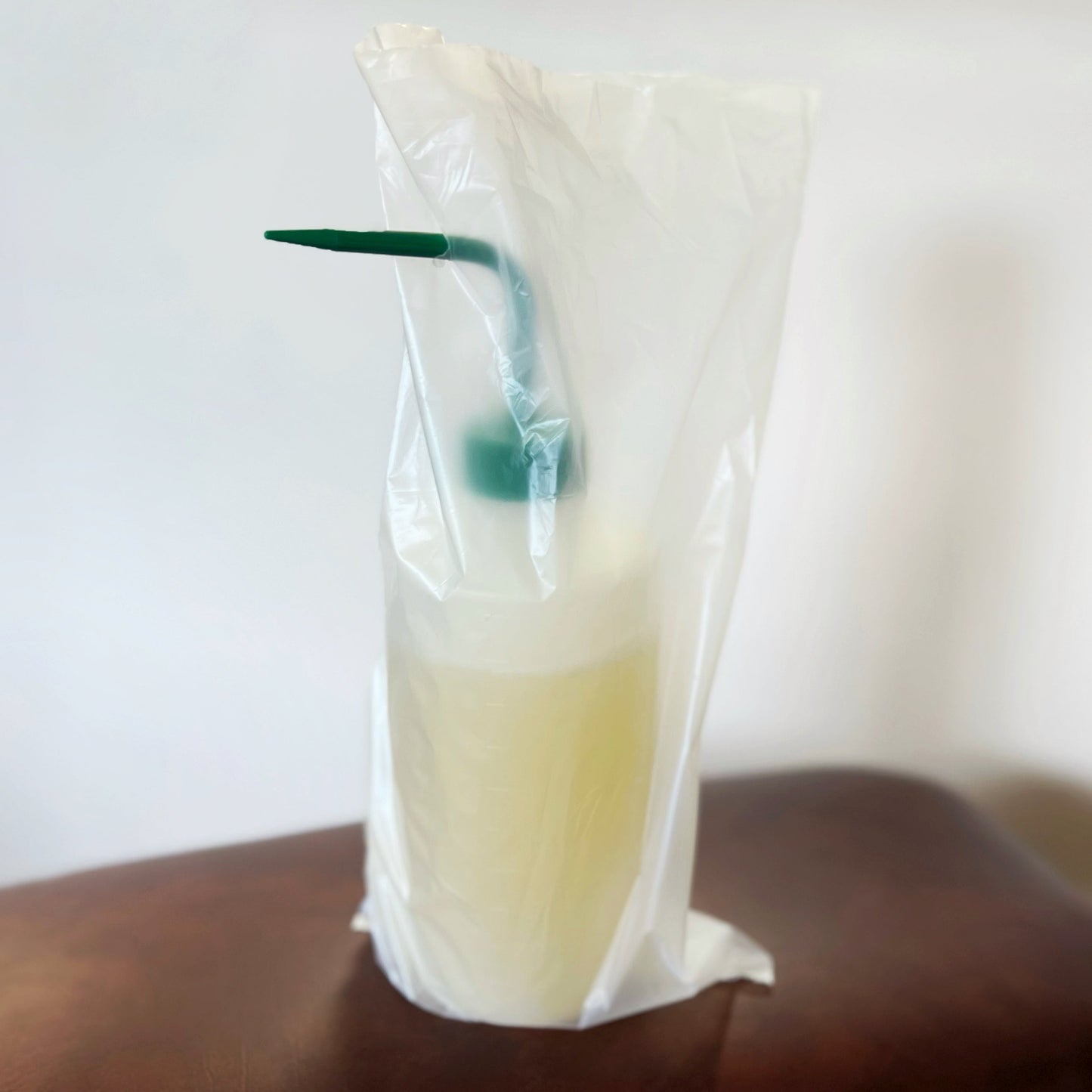 Compostable Bottle Bags